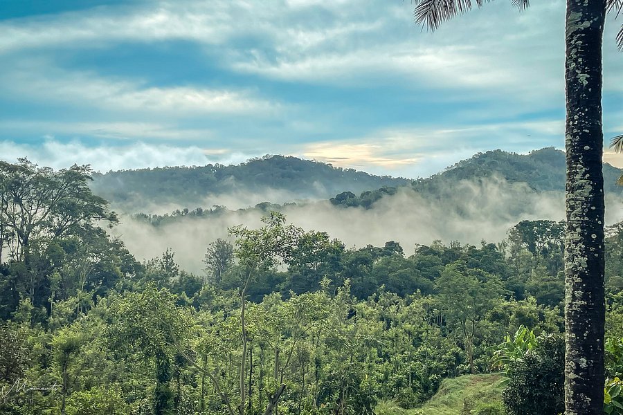 Honnamana Kere Lake
