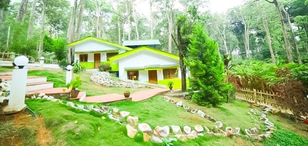 Wood pecker Homestay